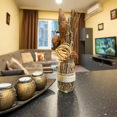 Apartment Comfort & Cozy In Center *